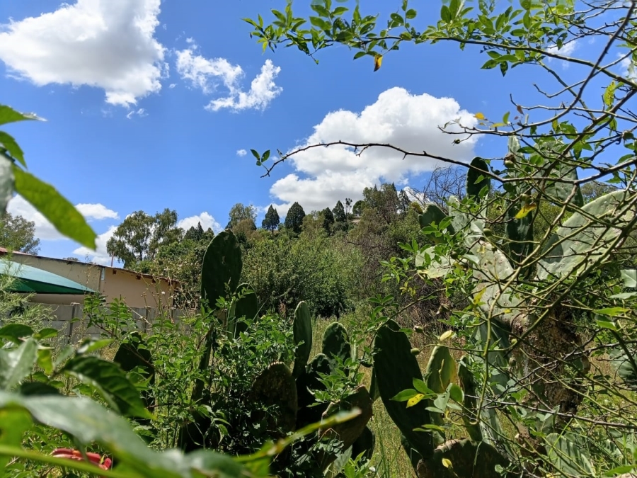 0 Bedroom Property for Sale in Senekal Free State